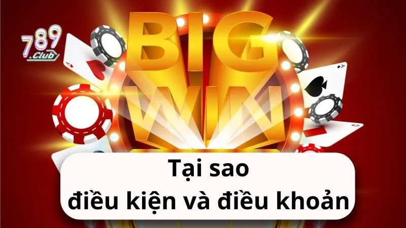 Tại sao điều kiện và điều khoản quan trọng?